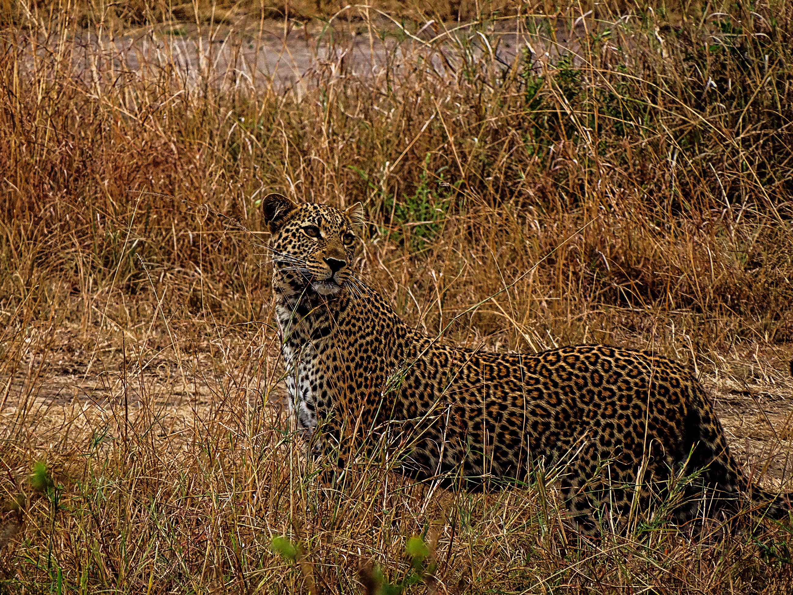 Blog Image