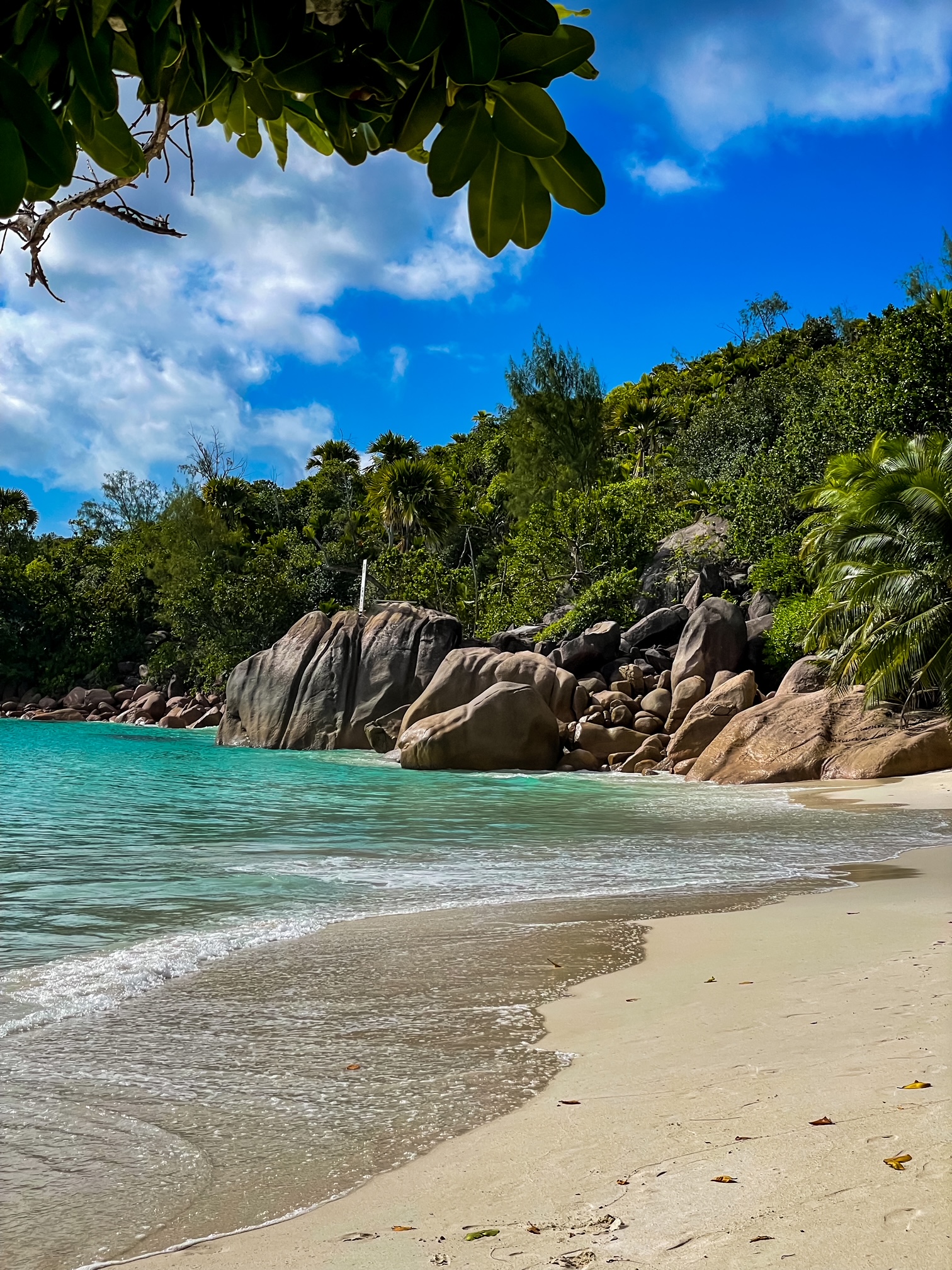 beach in Seychelles