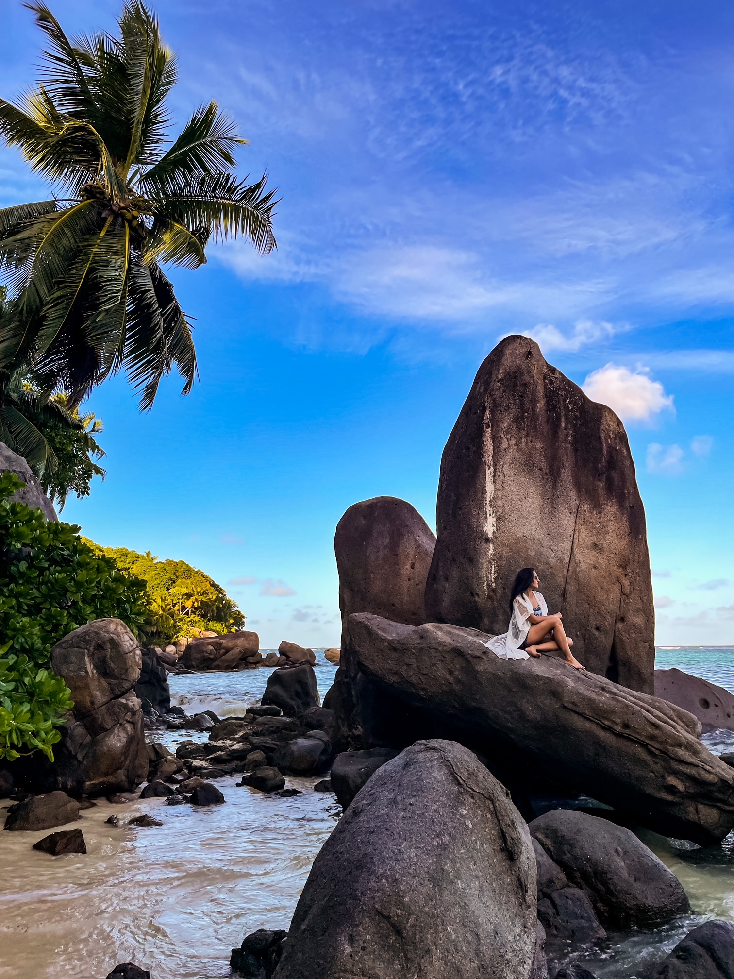 Seychelles jungle forests