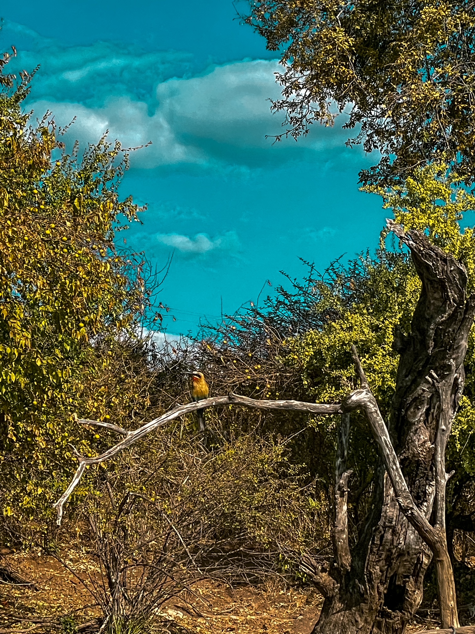 Blog Image