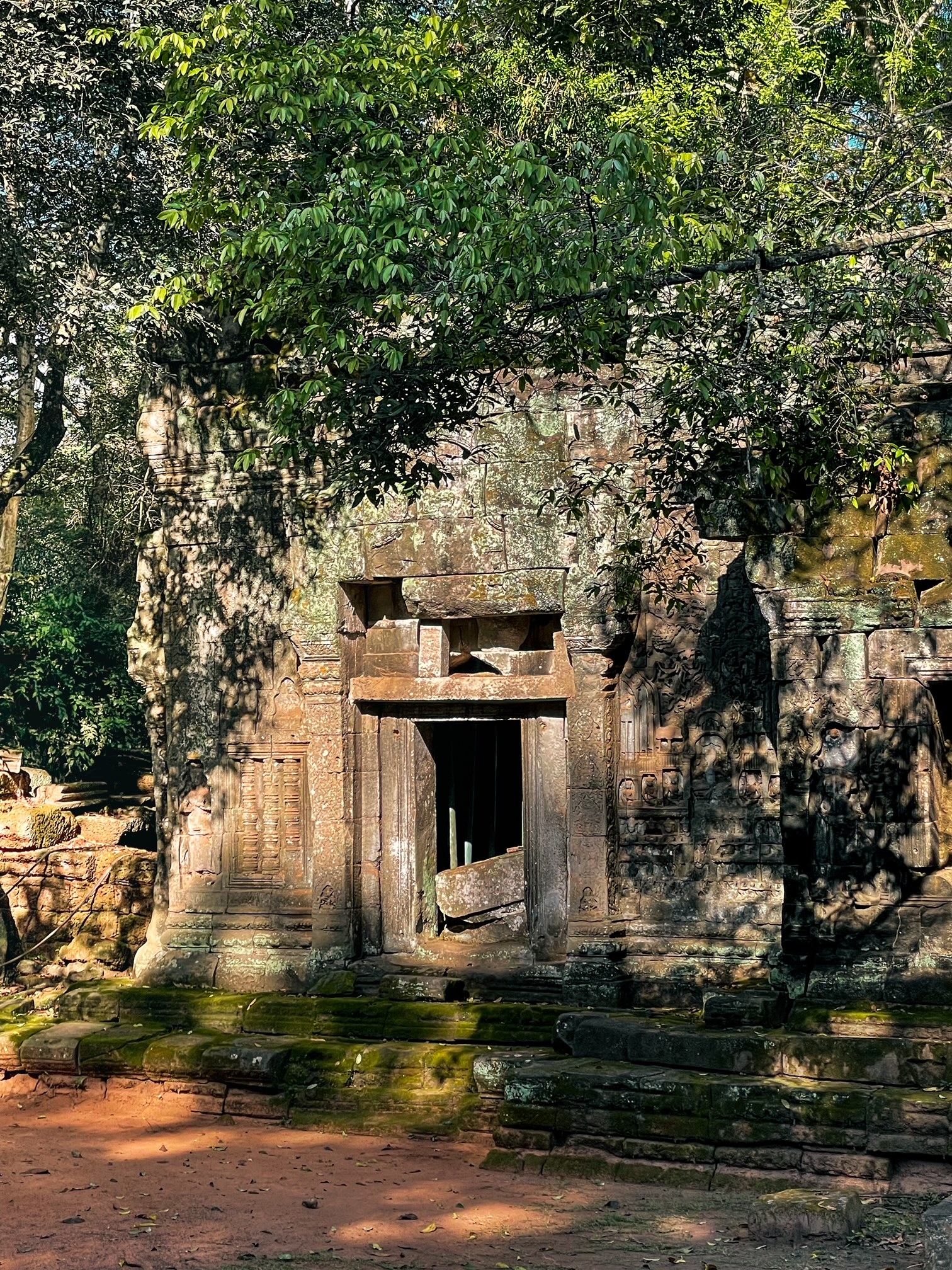 Blog Image