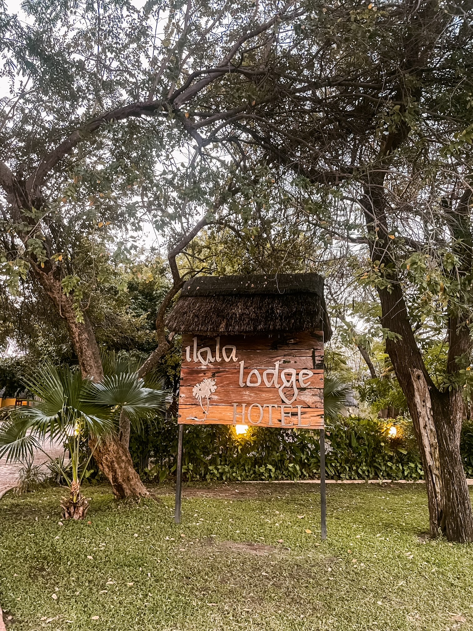 Victoria Falls Hotel Review: Ilala Lodge & Palm River Hotel 