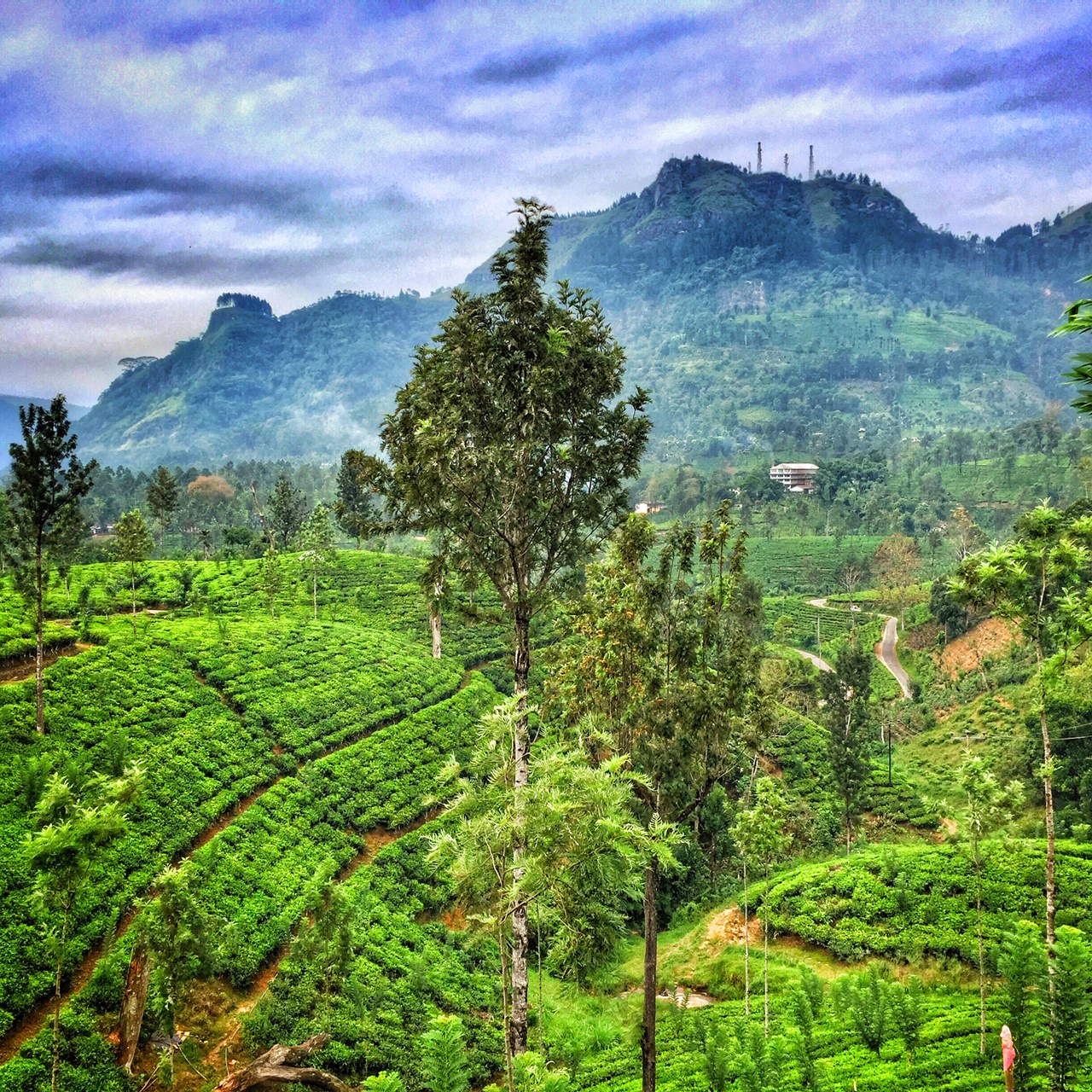 Blog Image