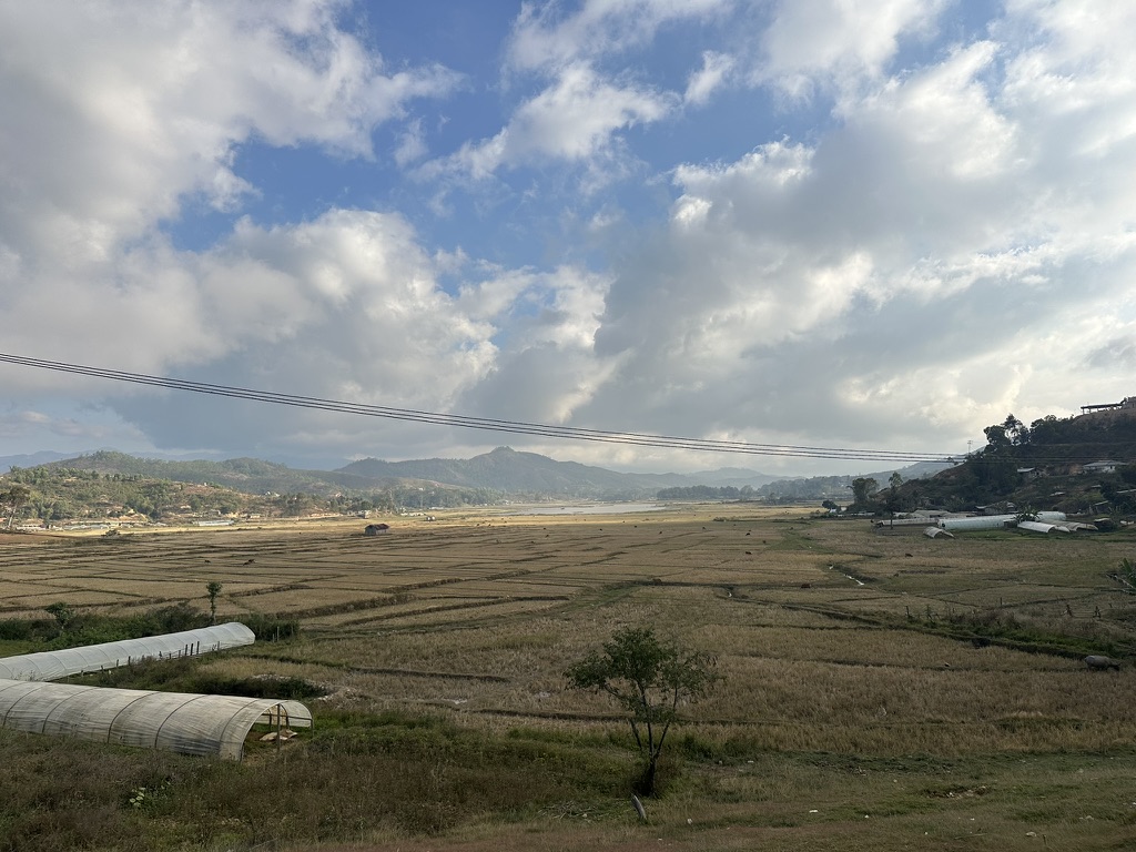 Blog Image