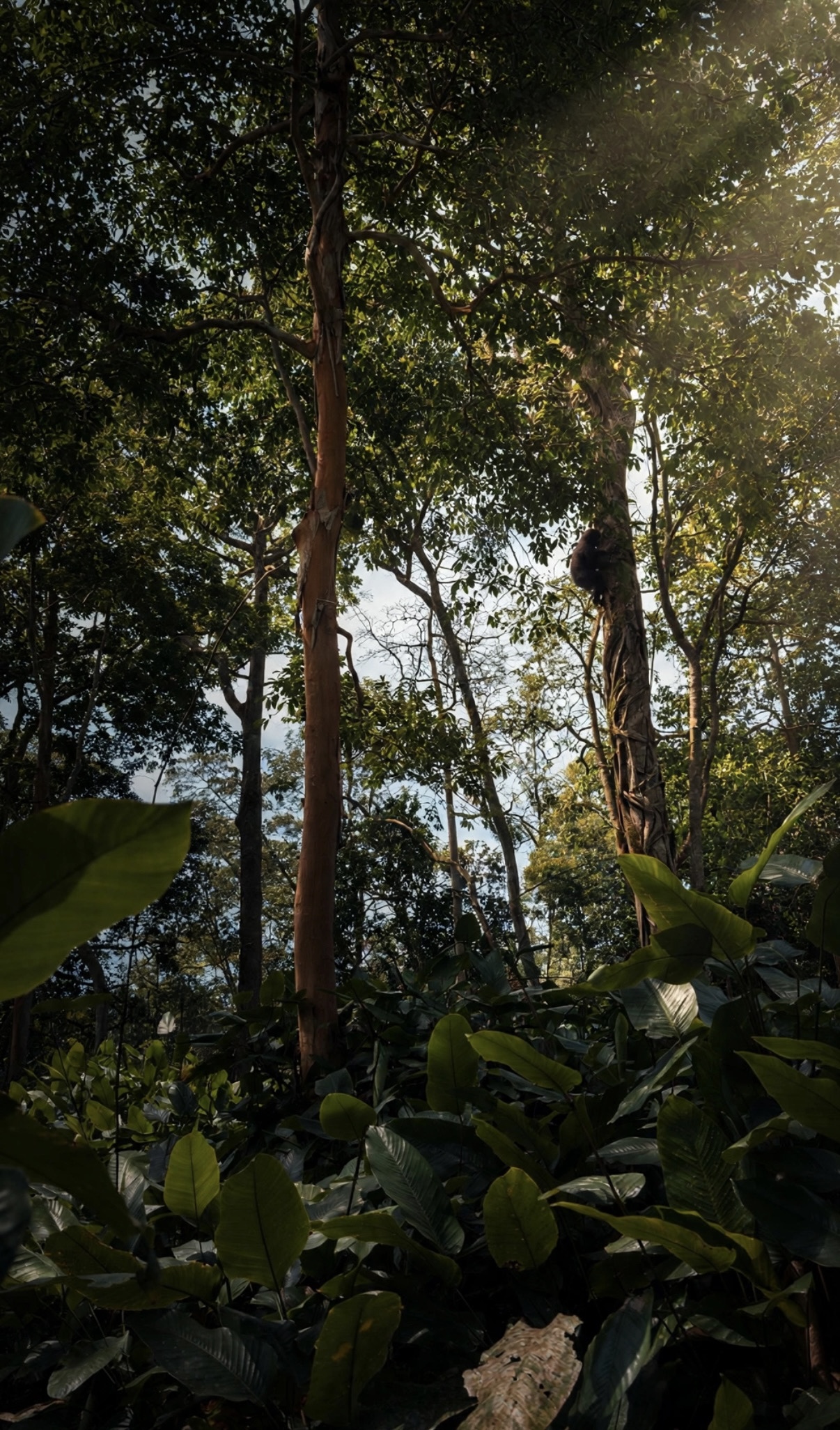 Blog Image