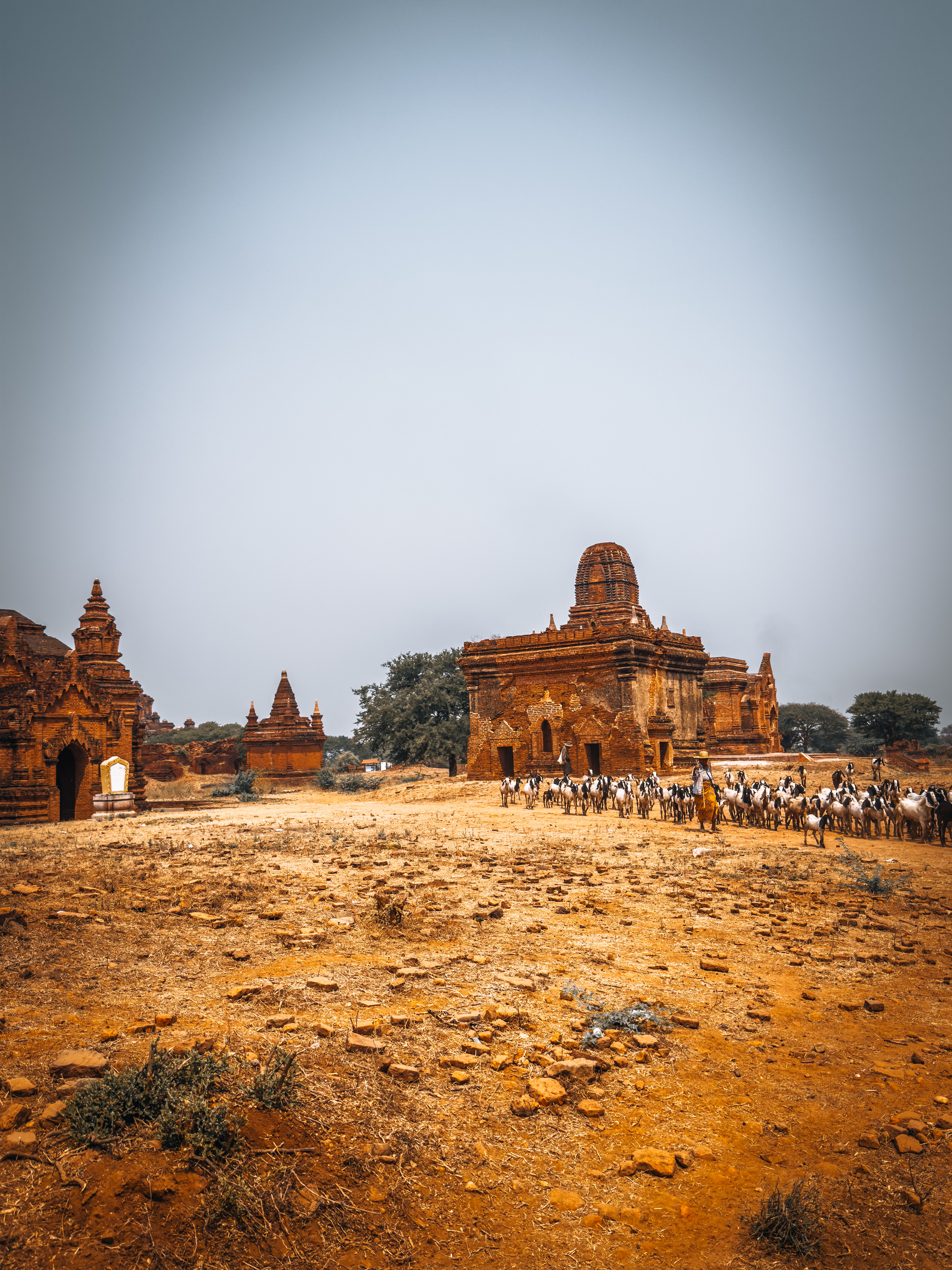 Blog Image